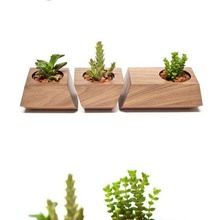 vaso fiori impostato mobilia arredamento moderno stile vita pentola fiore succulenta cactus ufficio tavolo 3d print model - Mito3D