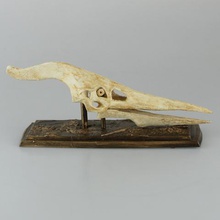 flying dinosaur skull various 3d print model - Mito3D
