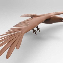 flying hawk Kunst durchsucht Replikate 3d print model - Mito3D