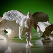 flying yeti art winged victory support skull sculpture print 3d printed3d meshmixer makeredchallenge learning historial wing engineeringproject education designproject dddbot curriculum creatures artproject archaeology academy 3dwork 1909 123d 3d print model - Mito3D