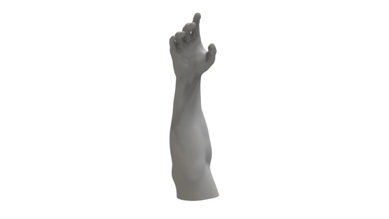 forearm hand avant-bras et main 3d print model - Mito3D