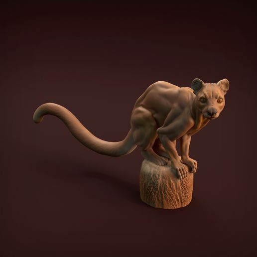 çukur Sanat hayvan firavun faresi kedi yırtıcı Madagaskar yaratık yaban hayatı heykel minyatür koleksiyon şekil önceden desteklenen destekli Şirin gerçekçi Arkadaş 3D print model - Mito3D