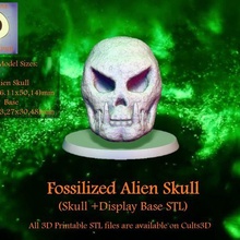 fossilized alien skull + display base fossil bust predator warhammer40k warhammer art minitures 3d print model - Mito3D