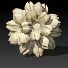 fractal pollen - flowery 2 3d printer art curiosity experiment sculpture 3d print model - Mito3D