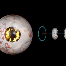 frei Augen Einblick Spiel Auge Augapfel Augäpfel manipuliert rig 3d print model - Mito3D