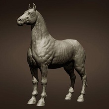 libre cheval 3d modèle 3d print model - Mito3D