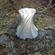freeform vase home 3d print model - Mito3D