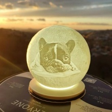Französisch Stier Hund Mond Lampe Maskottchen Beleuchtung Licht 3d print model - Mito3D