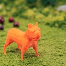 bulldog francese vari 3d animale in vetrina ge airshow 3d print model - Mito3D