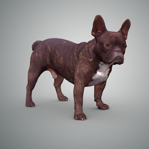 french bulldog art german shepherd dogs dog 3D print model - Mito3D