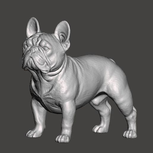 Fransızca bulldog Fransız Bulldog köpek Evcil 3D print model - Mito3D