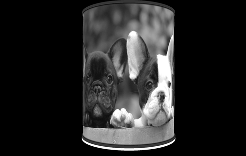 Fransızca bulldog Lamba litofani aydınlatma Led ışık film hayvanlar Bouly köpek hayvan 3d print model - Mito3D