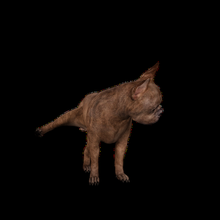 francese bulldog pack3 cane dior canna cucciolo cagnolino animale domestico amore ragazza ragazzo cuccioli 3d print model - Mito3D