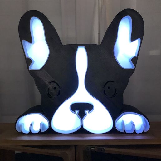 Französisch Däne Ball Lampe Hund Stier Deko Licht Nacht 3D print model - Mito3D