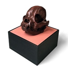 frenchie crâne fondation séries art chien anatomie sculpture modèle français bouledogue canin figurine squelette 3d print model - Mito3D