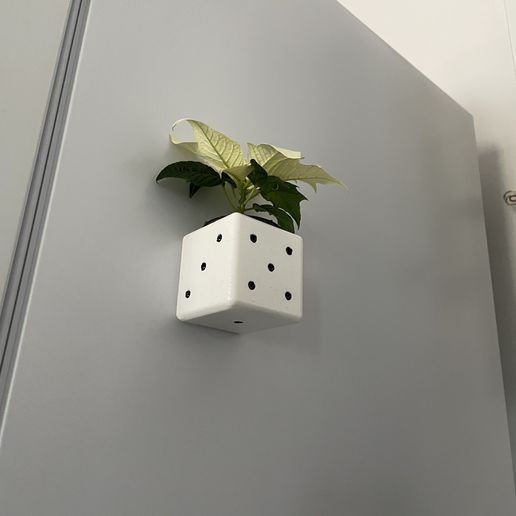 fridge magnetic flowerpot