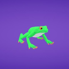 frog various 3d print model - Mito3D