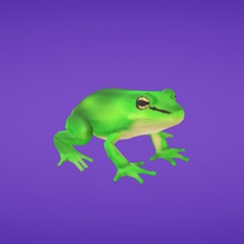 frog game 3d print model - Mito3D
