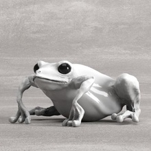 la grenouille art animal sculpture 3d print model - Mito3D