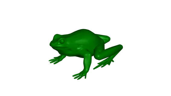 Frosch frog Tier Meer Natur Fisch 3d print model - Mito3D