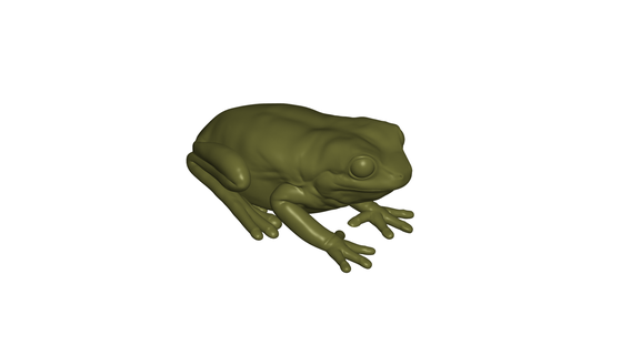frog Art frog - animal sculpture jungle art  3d print model - Mito3D