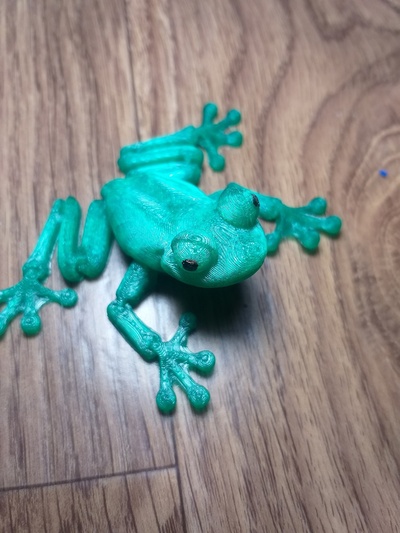 frog 3d print model - Mito3D
