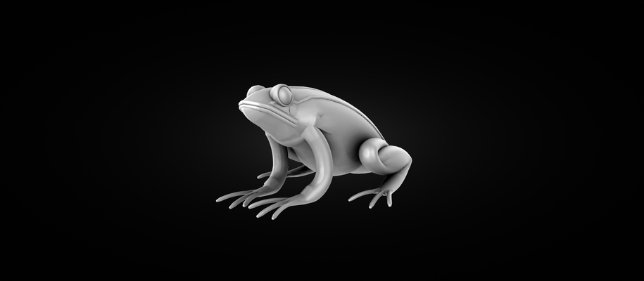 grenouille jeu reptile animal planète vie 3d print model - Mito3D