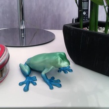 Frosch verschiedene 3d print model - Mito3D
