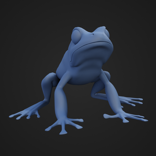 frog pose2 animal amazon species poison dart 3d print model - Mito3D