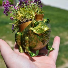 froggy planter - no supports art prince frog pot plant flowers flower 3d print model - Mito3D