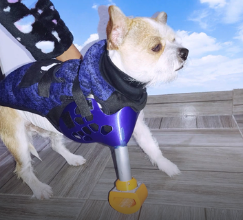 frente miembro prótesis perros protesis paraca perro miembro delantero prótesis protesis médico médico dispositivo dispositivo pierna pierna perro perro mascota 3d print model - Mito3D