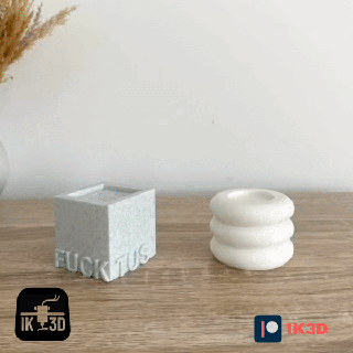 fucktus middle finger cactus 3d print model - Mito3D