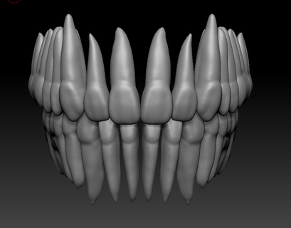 anatomie inférieur dents dentaire dent maxillaire mandibule mandibulaire complète entièrement anatomique couronne racine stl 3d dentisterie numérique 3d print model - Mito3D
