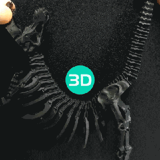 totalmente articulado dinossauro esqueleto modelo arte juntas 3d impressão Educação paleontologia Ciência museu fóssil réplica passatempo faça 3d print model - Mito3D