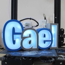 gael led sign lamp light 3d print model - Mito3D