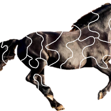 galloping horse puzzle - jigsaw 3d print model - Mito3D