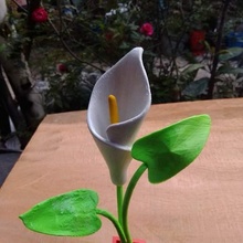 gannet flor Alcatraz plantar presente vaso flores 3d print model - Mito3D