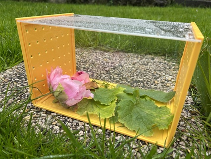 giardino terrario lumaca bruco ragazzi per bambini Casa all'aperto 3d print model - Mito3D