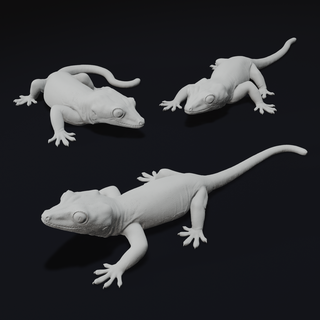 gárgula gecko animal réptil arte lagarto realista vida gostar decoração 3d print model - Mito3D