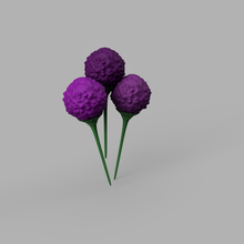 garlic flower 3d print model - Mito3D