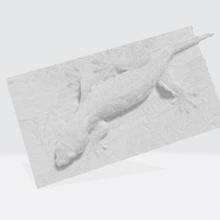 gecko rhacodactylus leachianus vari la scansione lucertola rettile leachie animale 3d print model - Mito3D