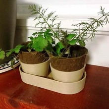 gemini plants pot flower plant planters household 3d print model - Mito3D