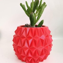 geometric pot cactus succulent minimalist modern beautiful 3d print model - Mito3D