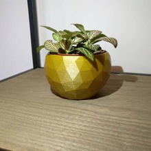 geoplanter ev geometrik pot çiçek ekici bitki 3d print model - Mito3D