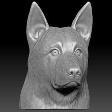 Almanca çoban baş 3d baskı köpek husky Boğa teriyer Pitbull kaniş boksör rottweiler Fransızca bulldog altın av köpeği Labrador Shiba dane daksund Yorkshire 3d print model - Mito3D