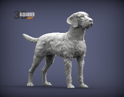 german wirehaired pointers 3d print model dog nature mammal animal home pet sculpture souvenir sculpt sculptures statue art vizsla 3d print model - Mito3D