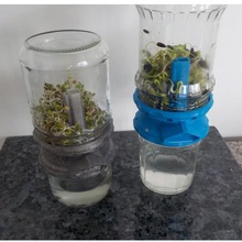 germoir casa seme la germinazione i semi germogliati 3d print model - Mito3D
