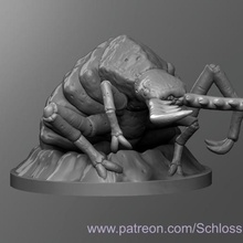 giant antlion game dungeons dragons tabletop dnd 3d print model - Mito3D