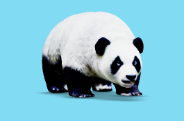 gigante panda arte animais 3d print model - Mito3D