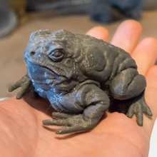 giant toad - dnd monster 2 poses creature miniture miniature enemy frog encounter 3d print model - Mito3D